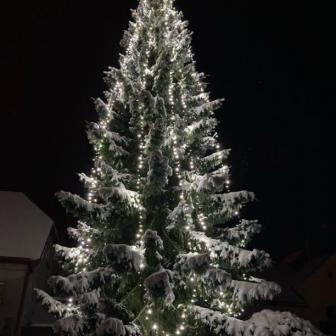 Vánoční strom se na návsi rozsvítil první adventní neděli 1